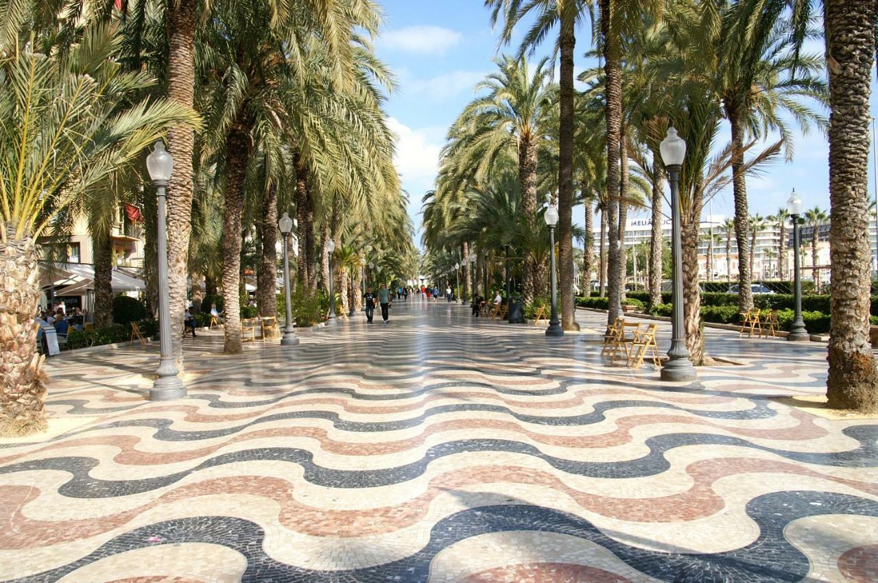 Microclimate Center * Alicante