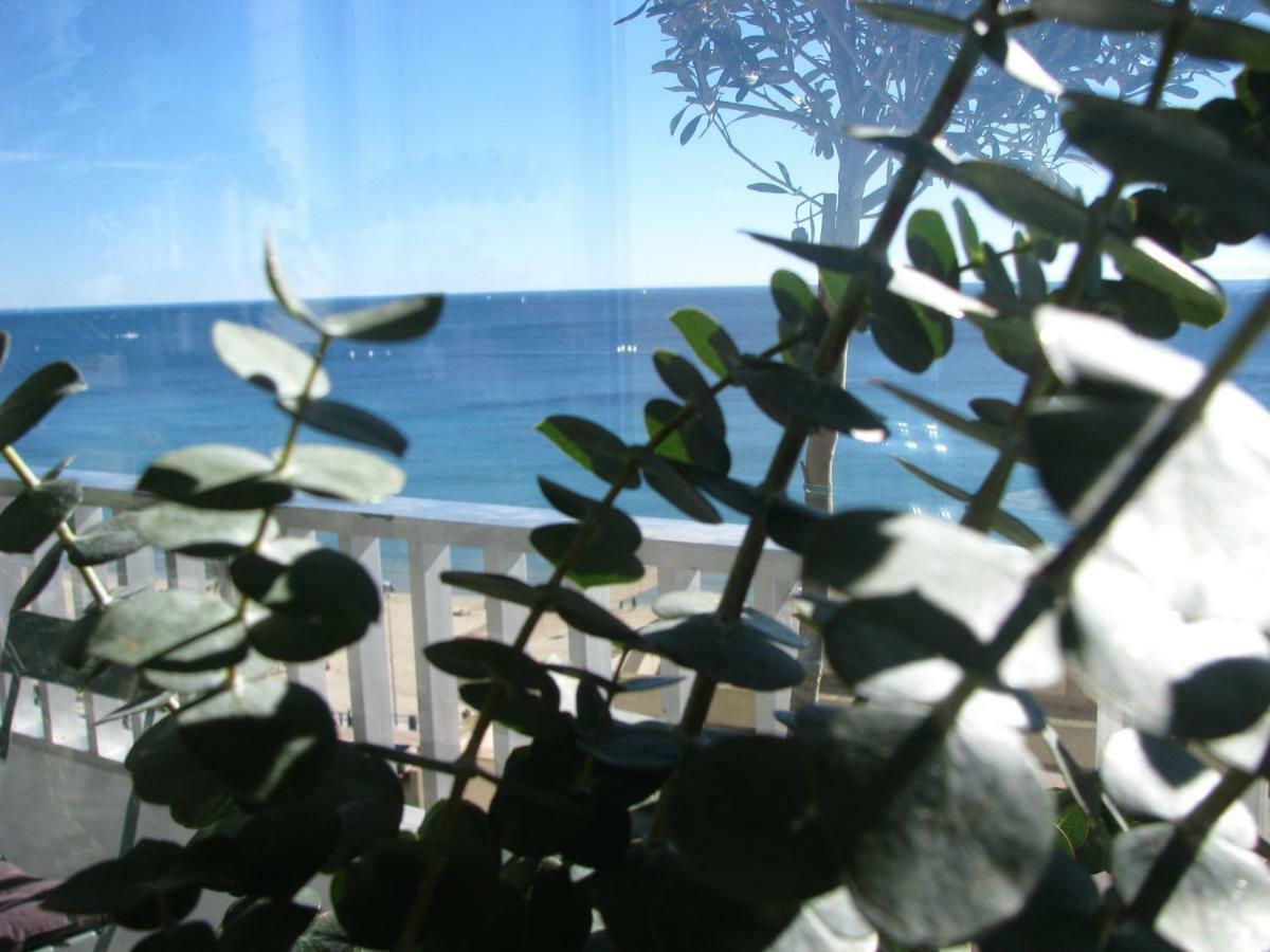 Ocean View Apartamento
