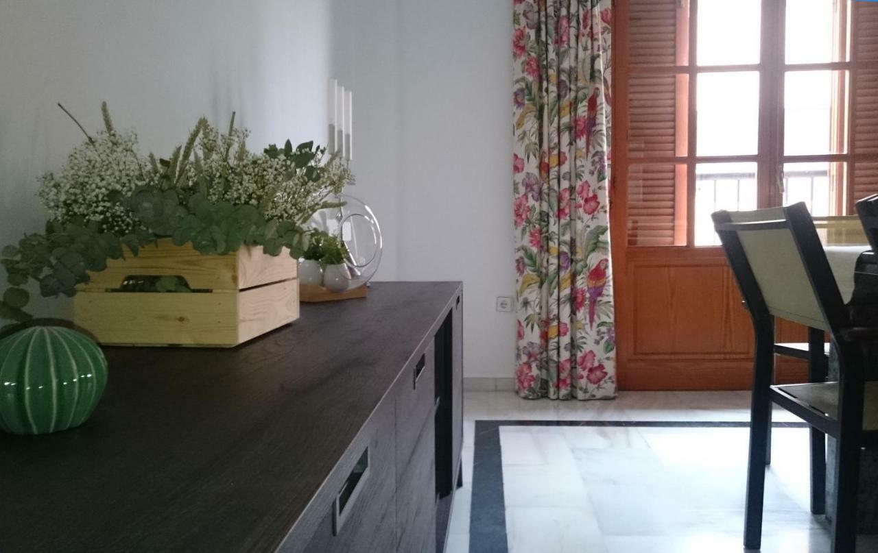 Appartement Comodidad, Calidad Y Amplitud En El Centro De *