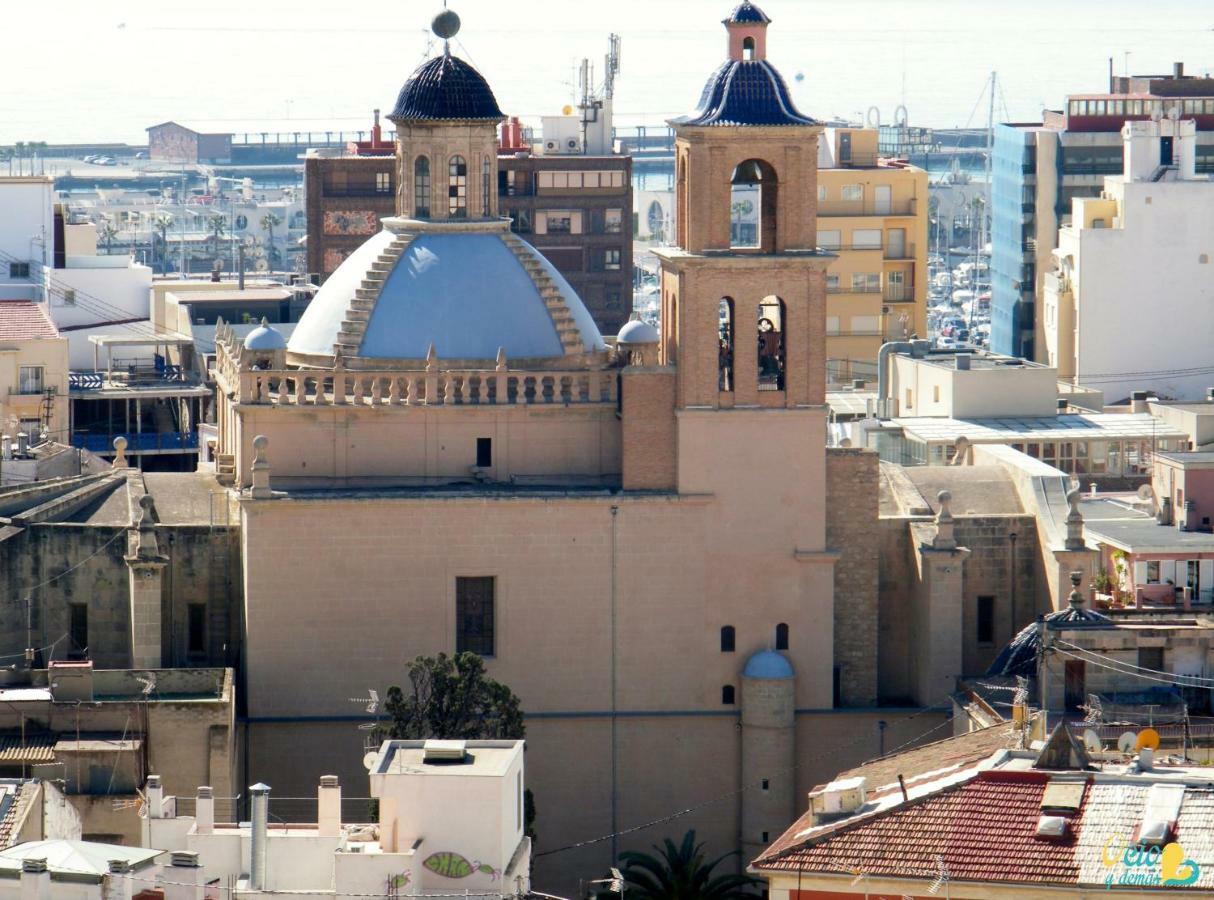 Salinas 7