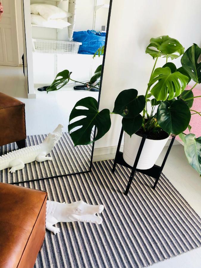 White Loft Apartamento *