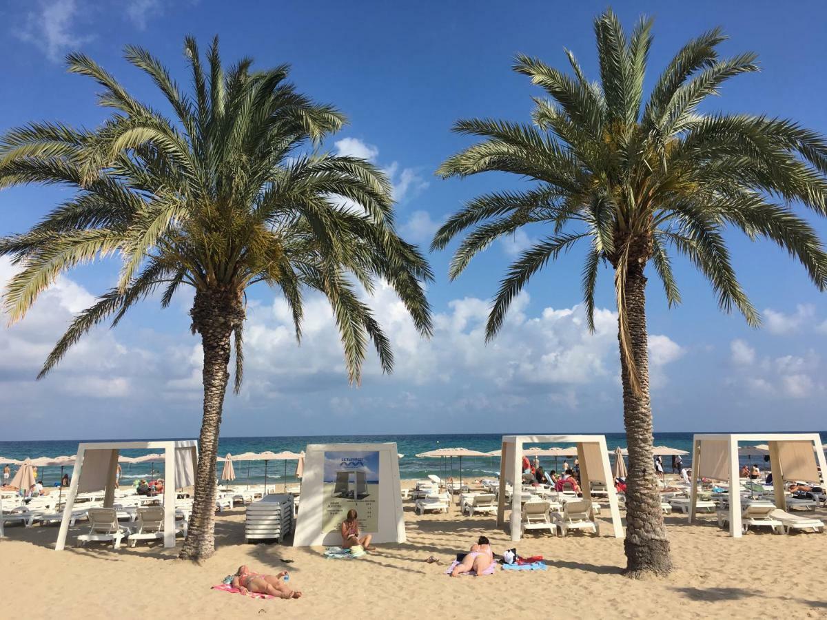 Near The * Alicante