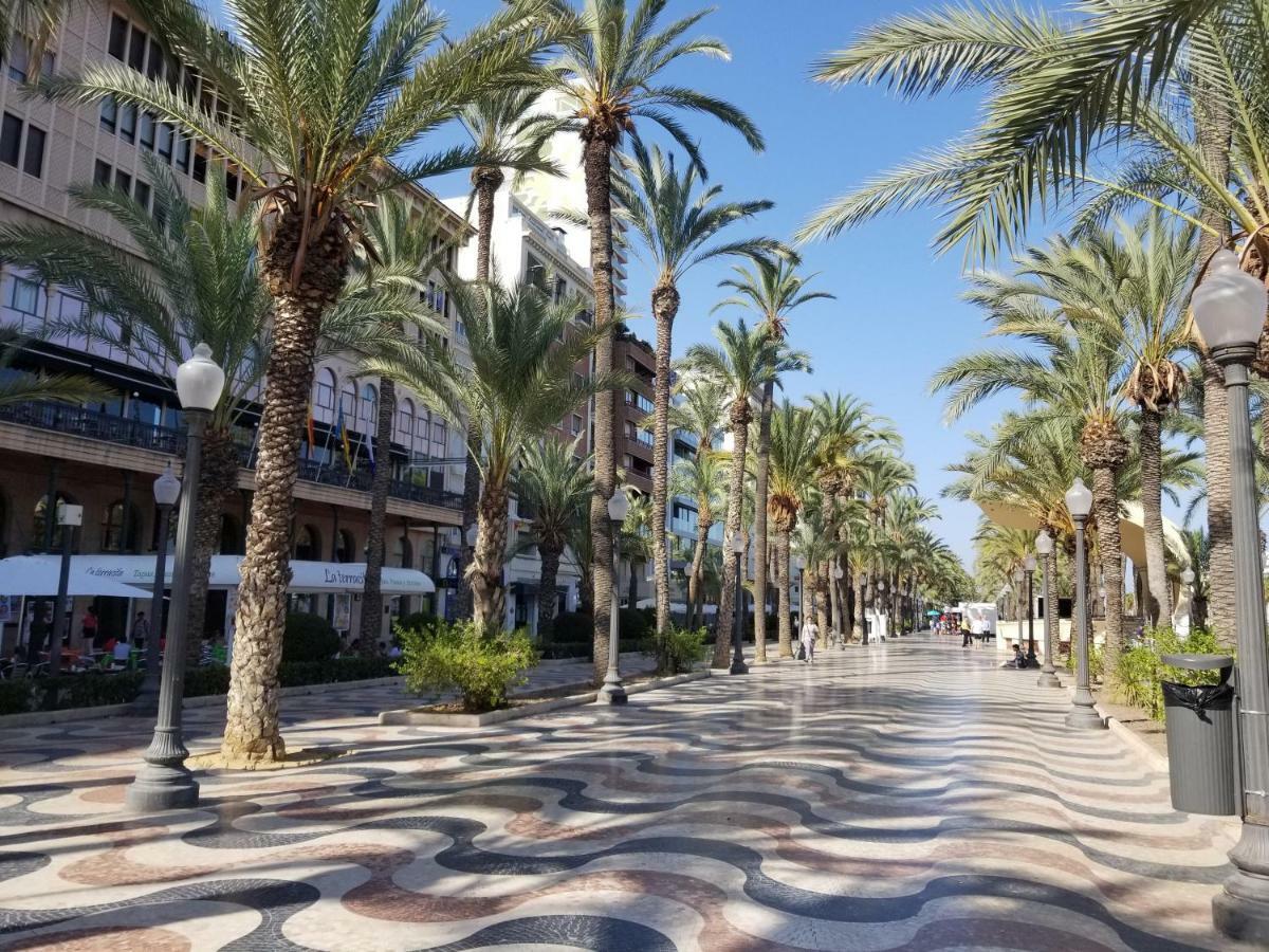Calle Ingeniero Canales N 14, 2 Izq 03013 Apartamento