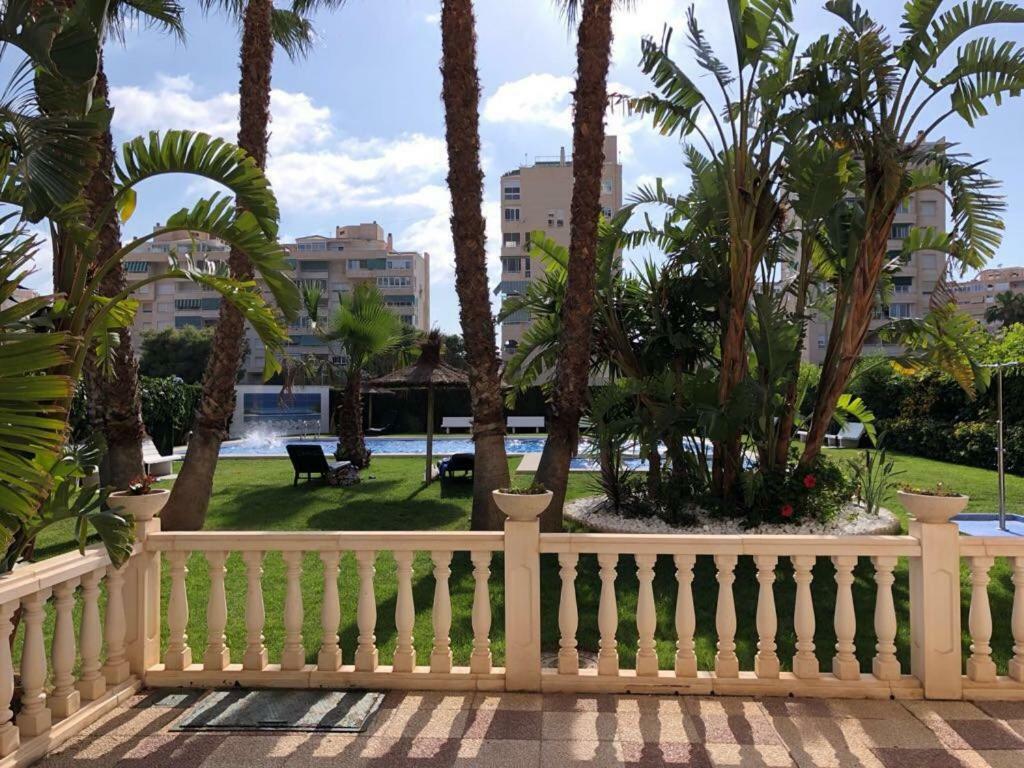 Frente Al Mar