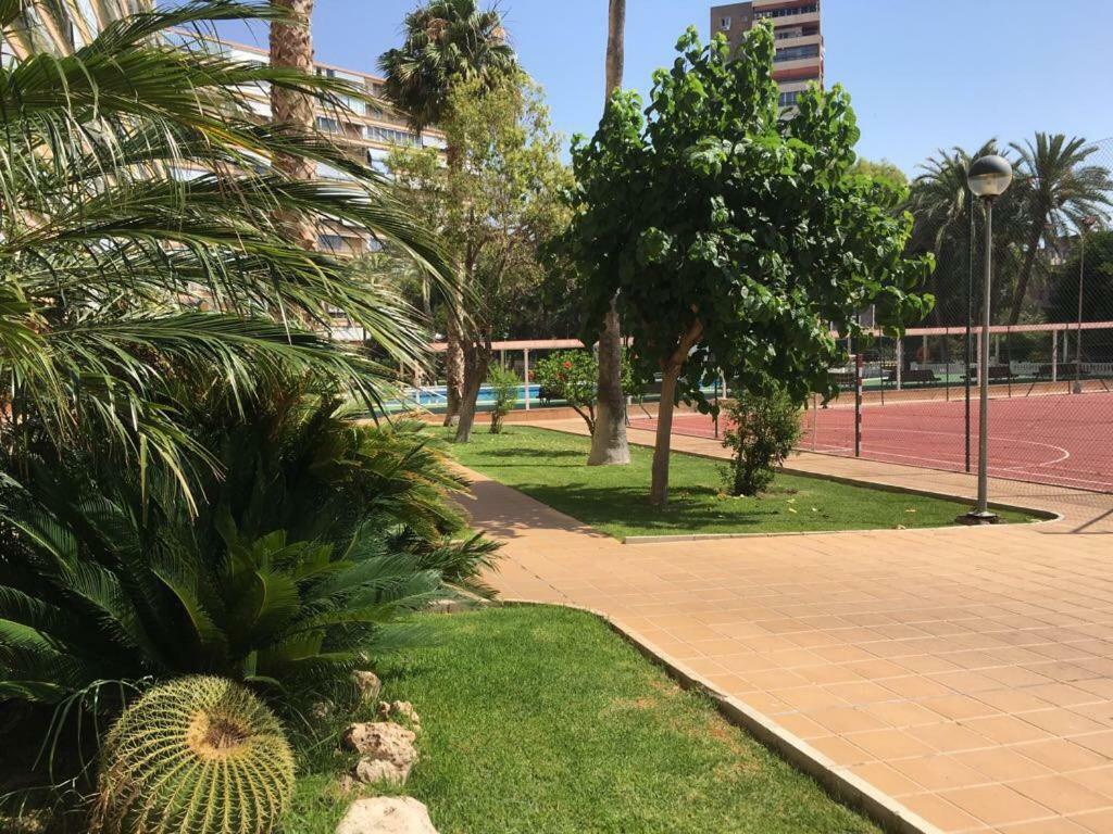 Confort En Playa San Juan * Alicante