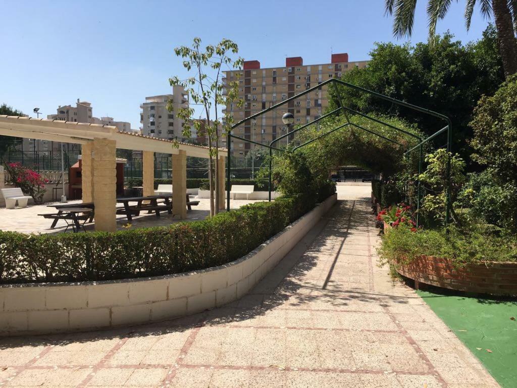 Confort En Playa San Juan Apartment *