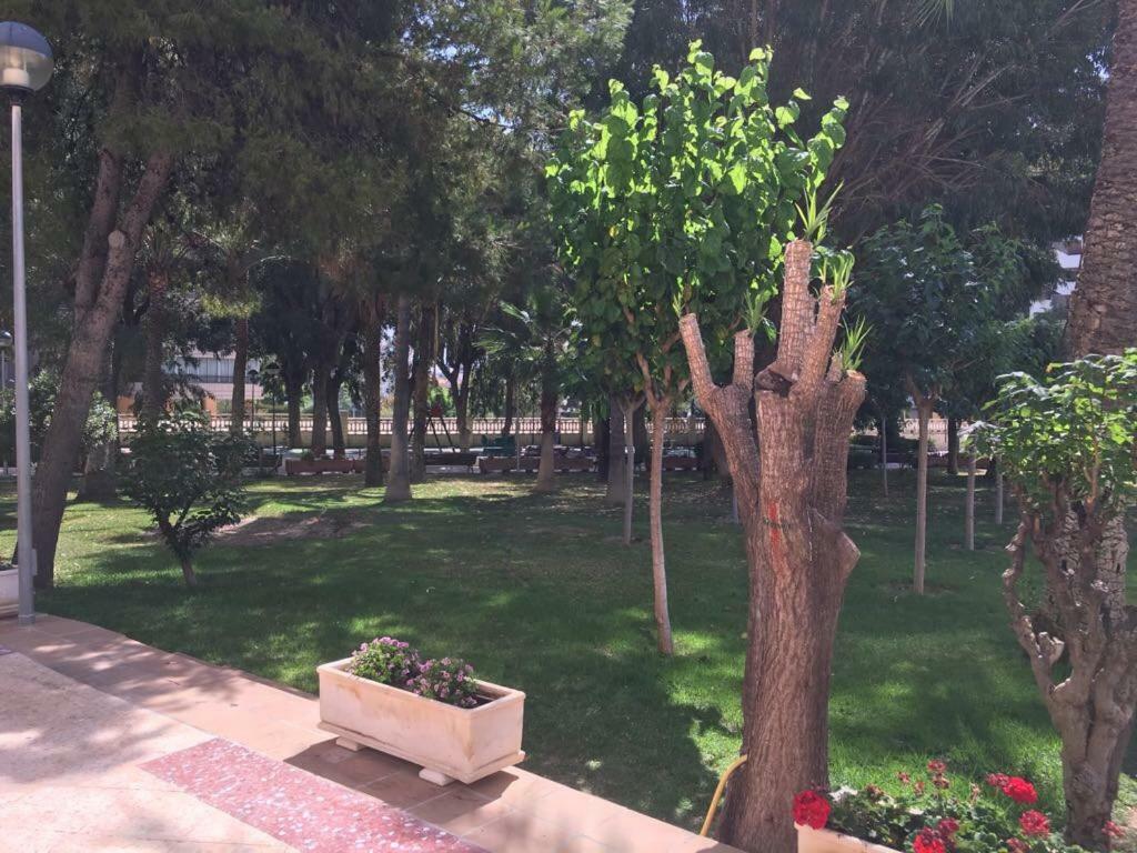 Apartment Confort En Playa San Juan Alicante