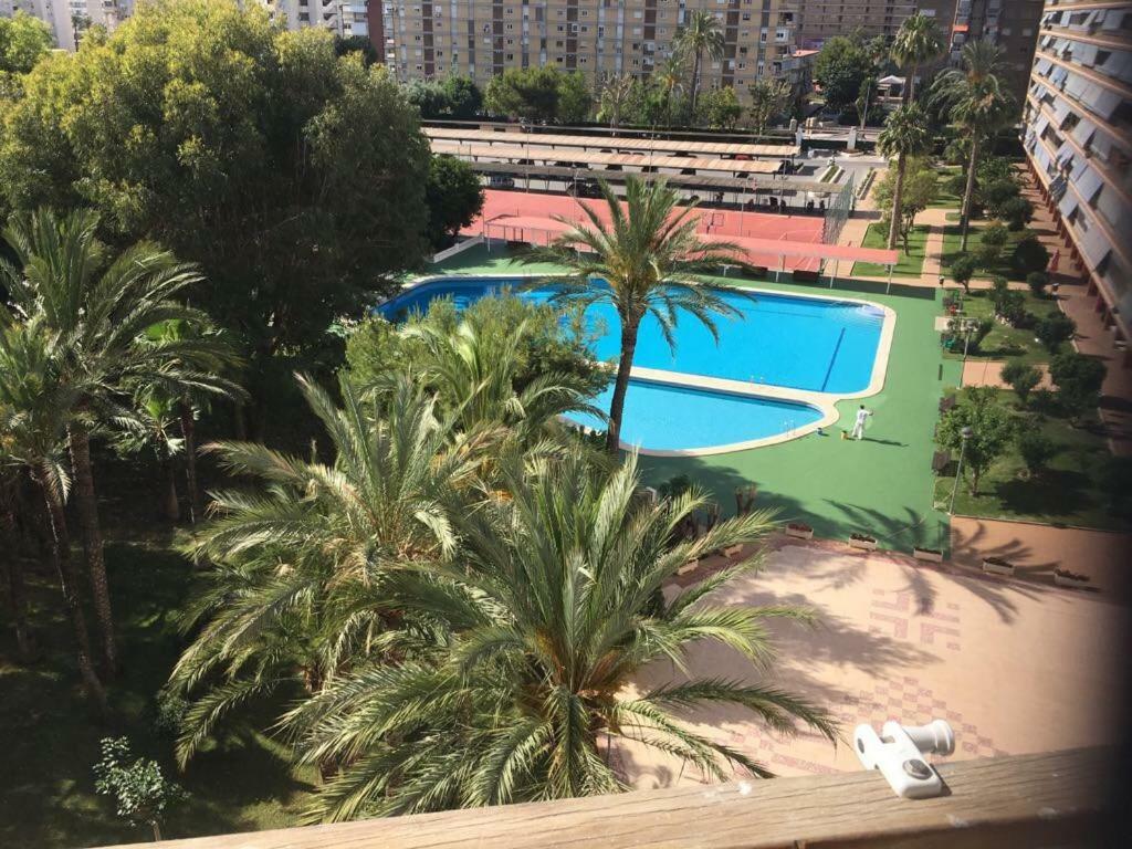 Confort En Playa San Juan Alicante