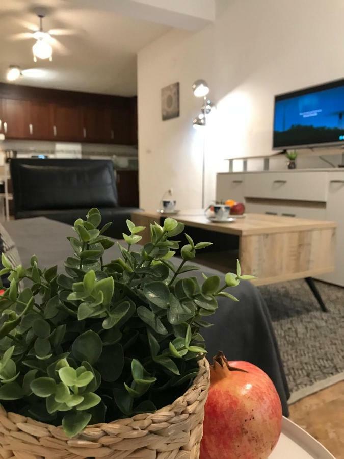 Apartment Diskover Pintor Gisbert