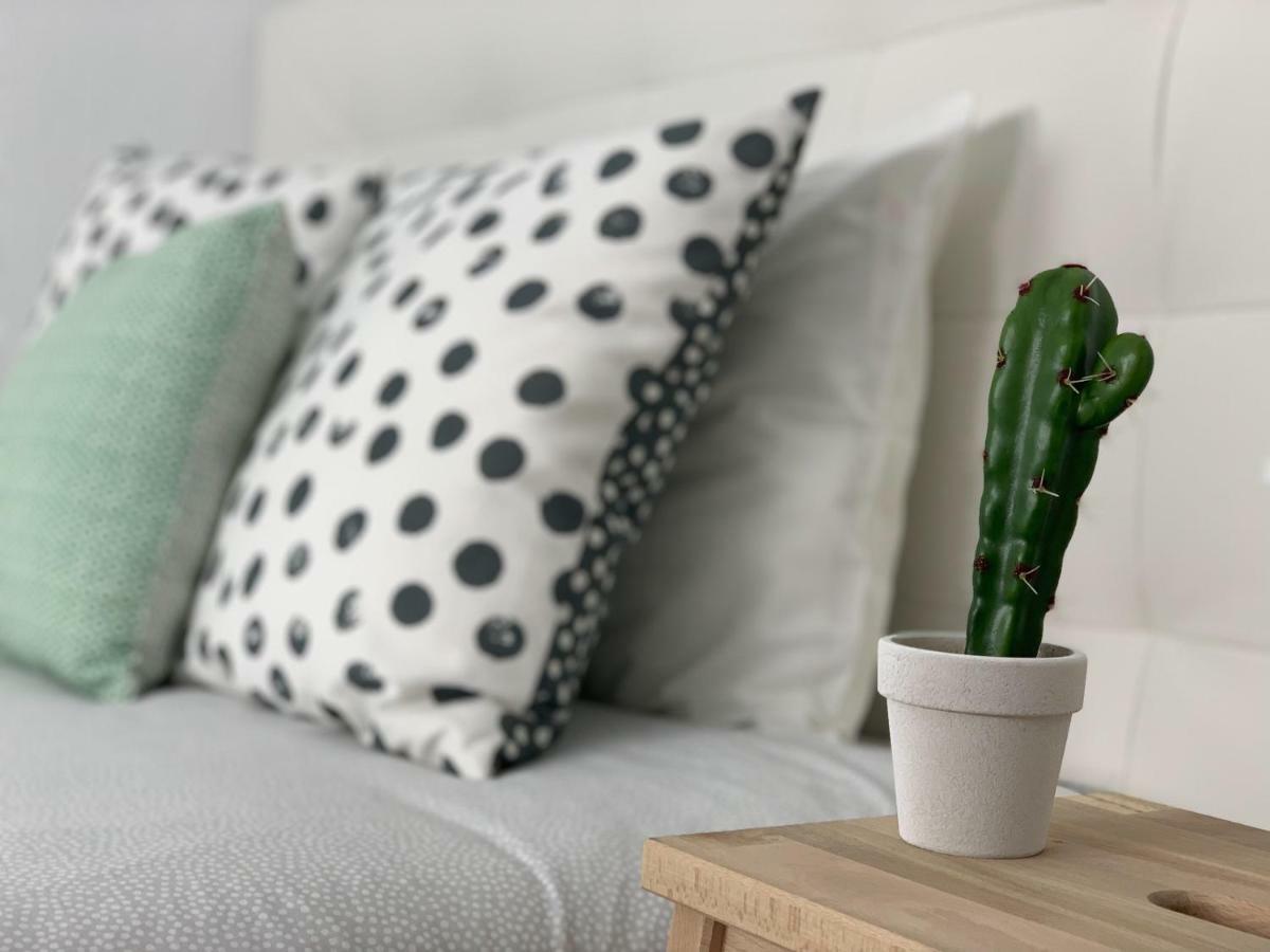 Cosy Flats Luceros * Alicante