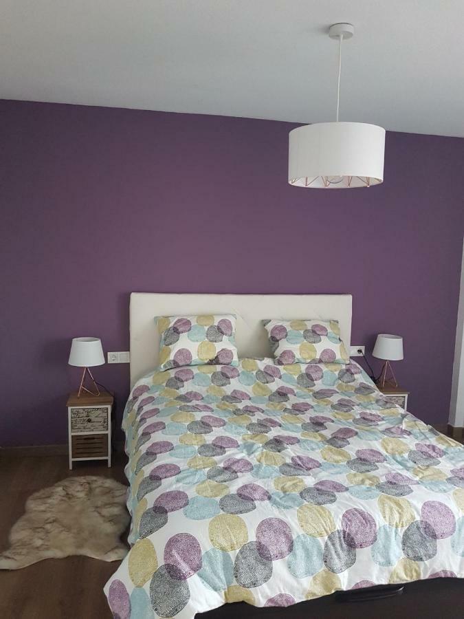 Your Perfect Carivoguest Apartment