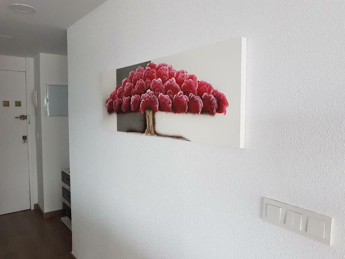 Your Perfect Carivoguest Apartment Alicante