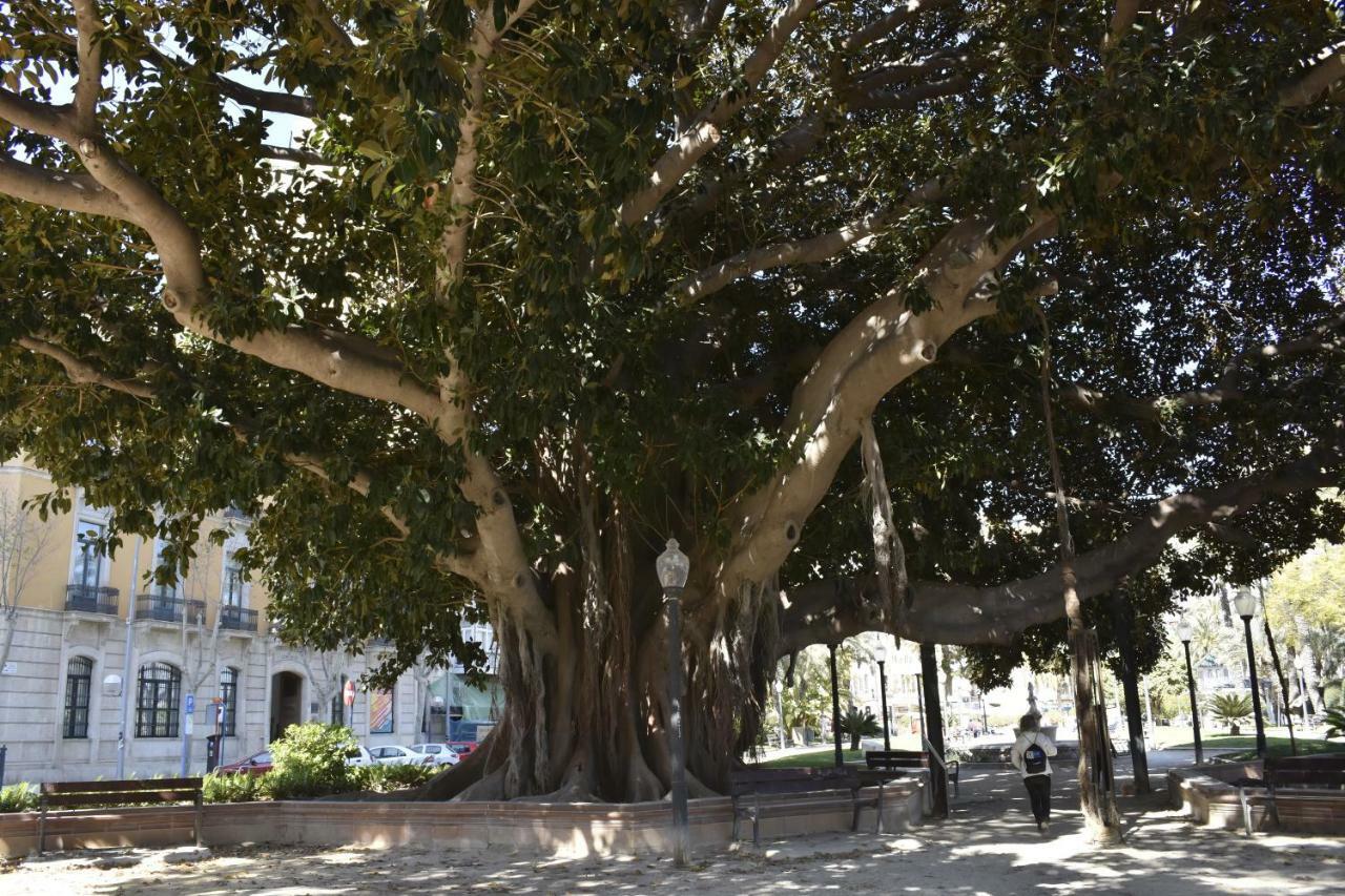 Lovely Near The Port Of Apartment *