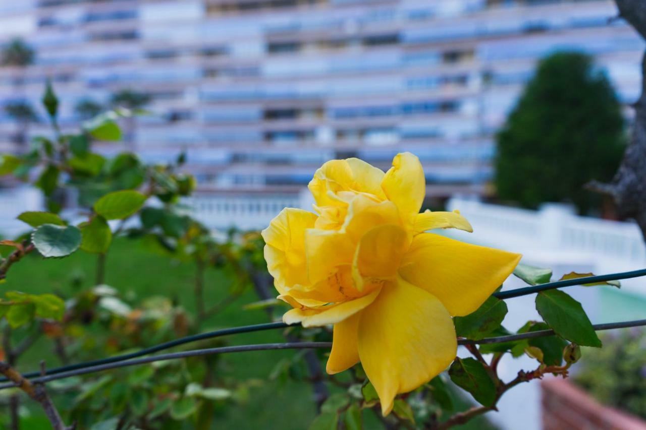 Beach & Urban Playa San Juan Appartement