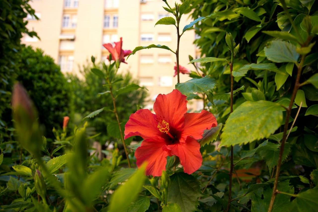 Esencias Y Sensaciones En Alicante! - Playa Y Golf Apartamento