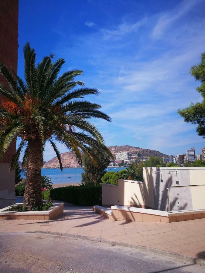 Santa Barbara 18 Alicante
