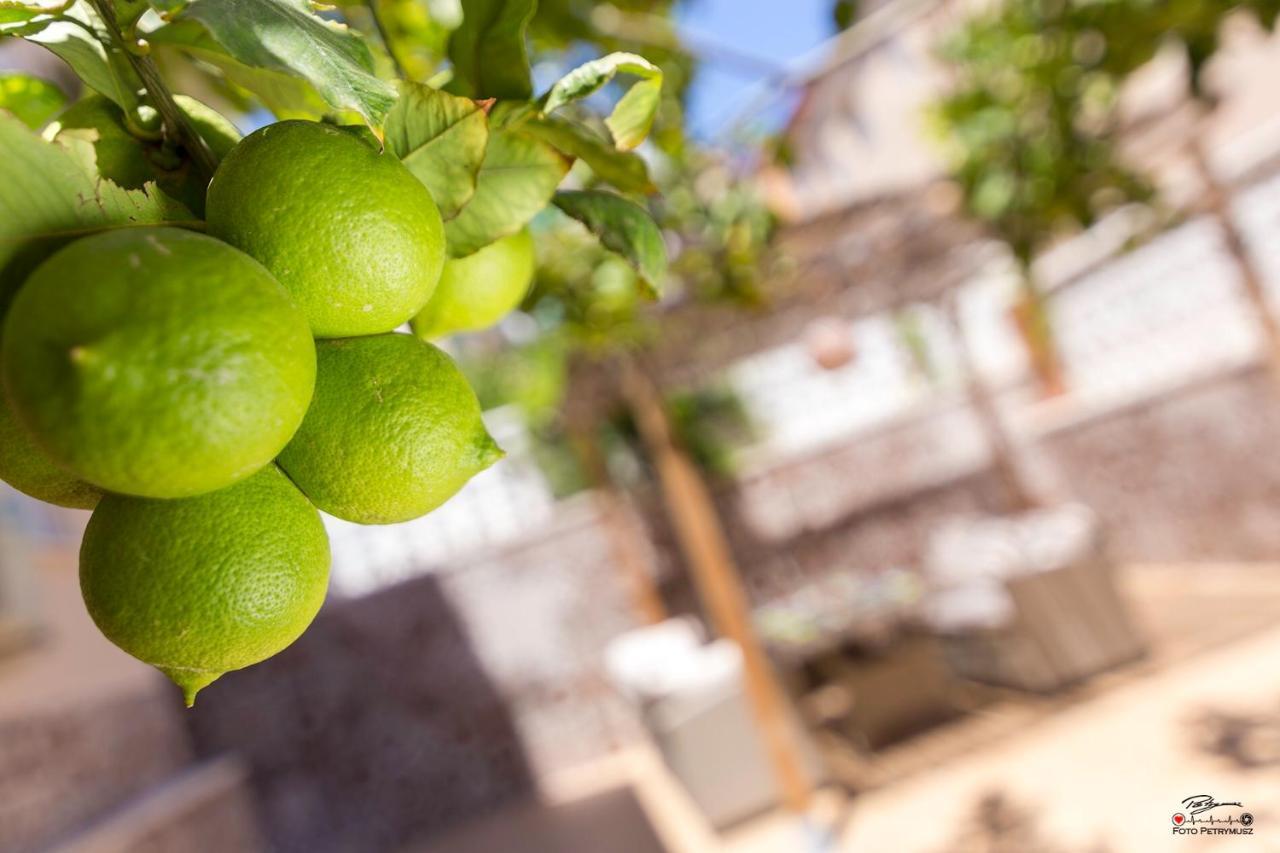 Lemon Paradise Alicante