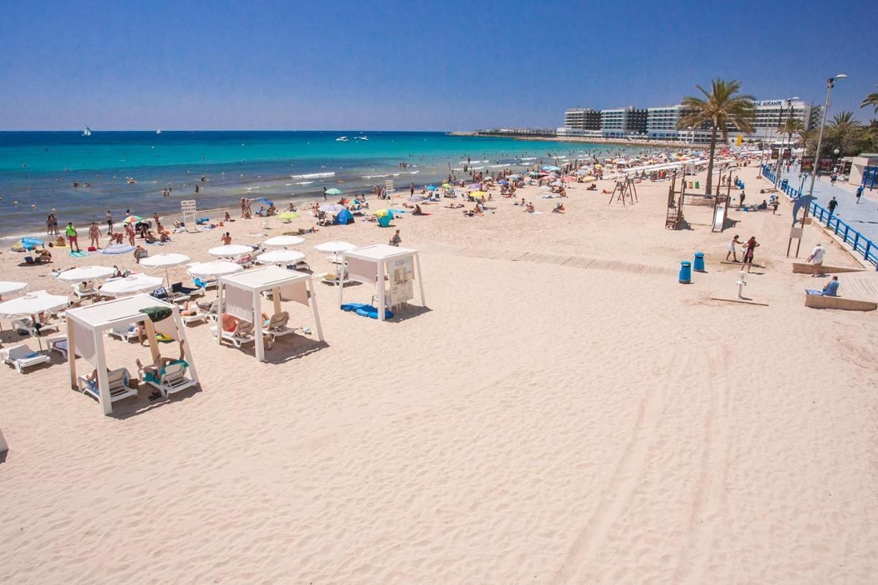 Large With Large And Sunny Terrace - Garden & Outdoor Gym , Center Huoneisto Alicante