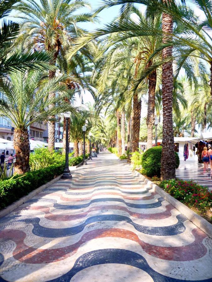 Luxury Studio In The Center, City & Sea Views * Alicante