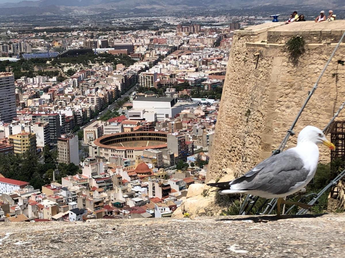 Apartment Calle San Carlos 132 Alicante