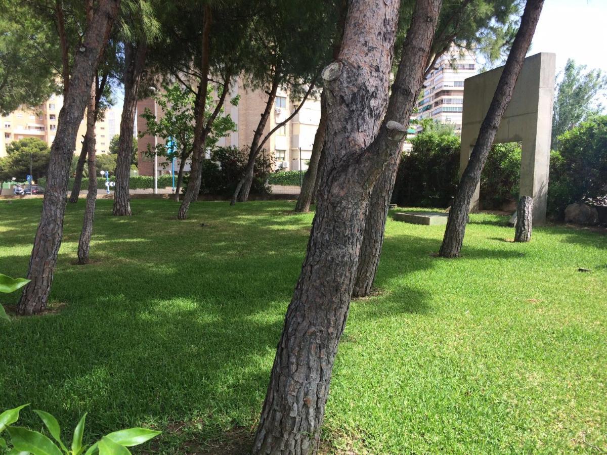 Apartamento Club Del Mar L24 *