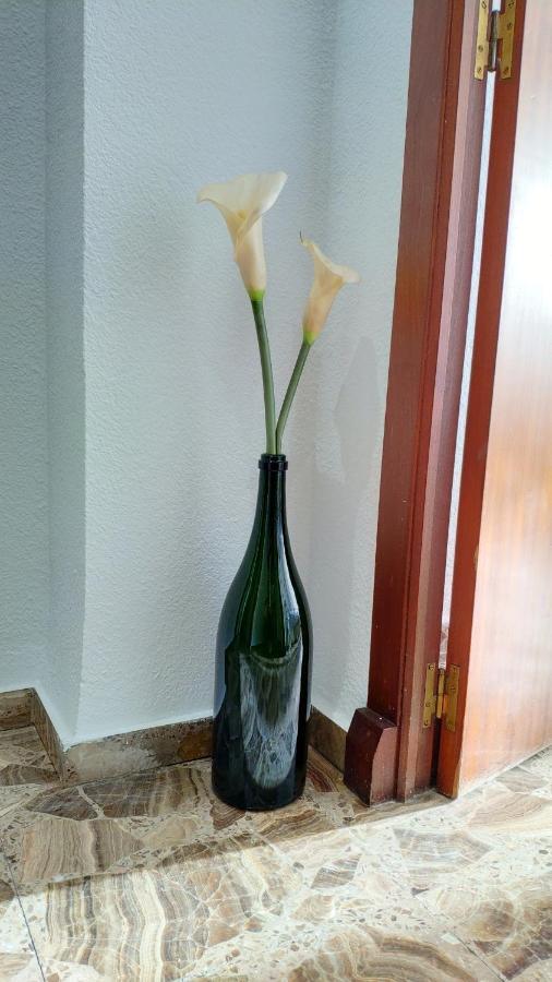 Perfect Near The Beach Alicante