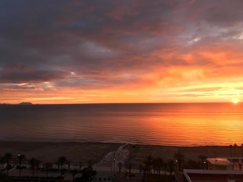 Texas * Alicante