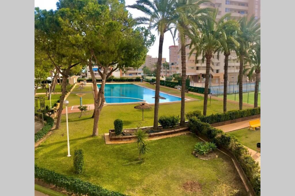 Apartment Leo Piso 20 4 Pax Inmobiliaria Leo Playa De San Juan *