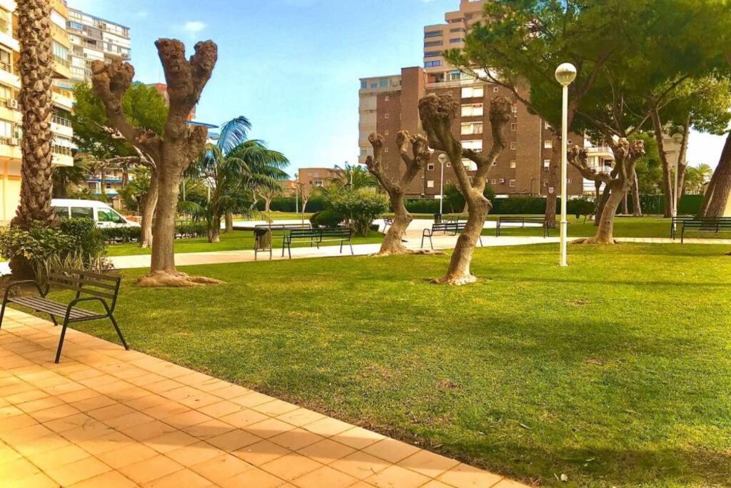 Leo Piso 20 4 Pax Inmobiliaria Leo Playa De San Juan