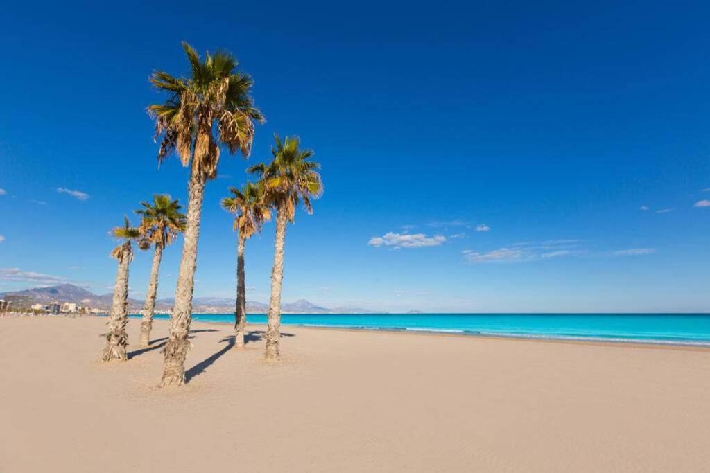 Leo Piso 20 4 Pax Inmobiliaria Leo Playa De San Juan * Alicante