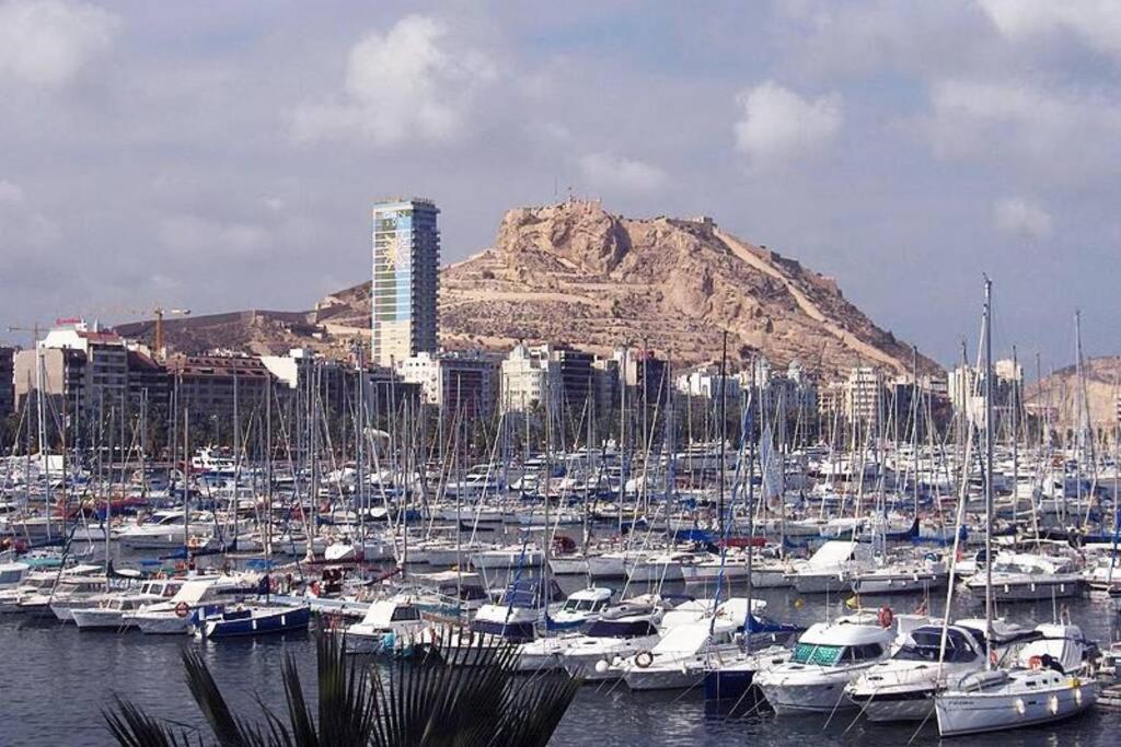 Leo Piso 20 4 Pax Inmobiliaria Leo Playa De San Juan