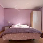 New Bright Apartament With Wi-Fi In Alicante