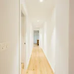 The Lucky Flats - Liorna