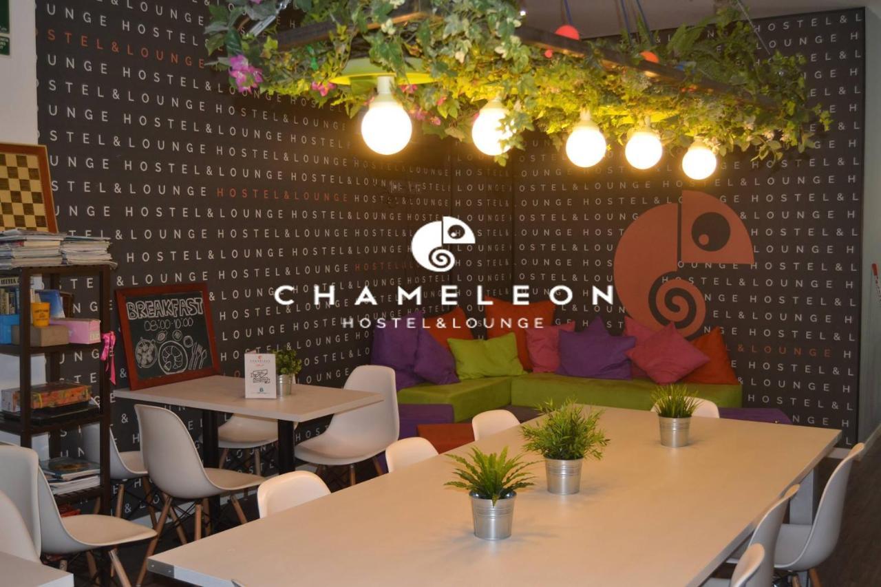 Chameleon Youth Hostel