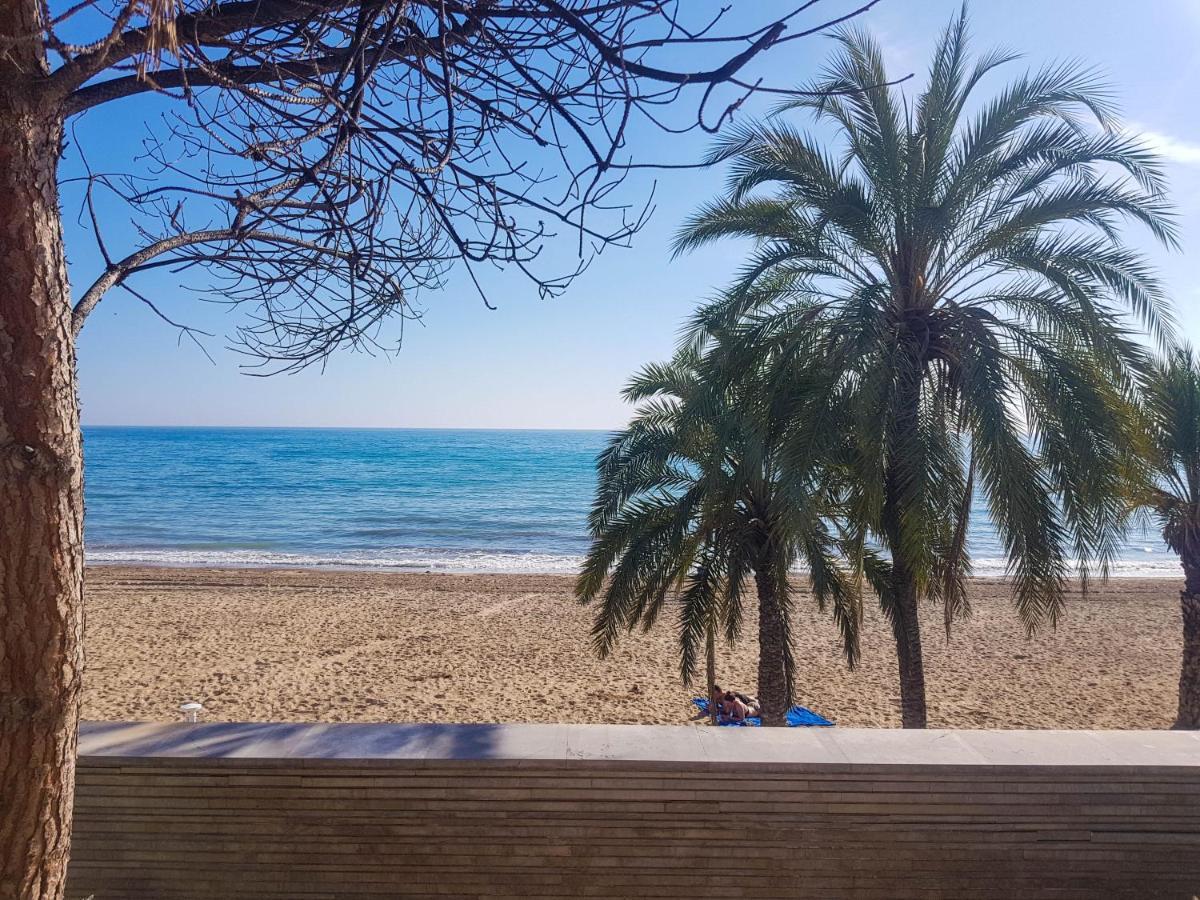Loft Primera Linea, Playa De La Albufereta Appartement