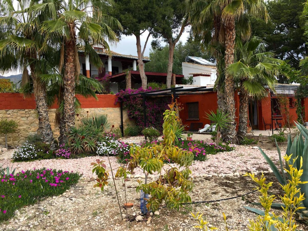La Guarida Guesthouset Alicante