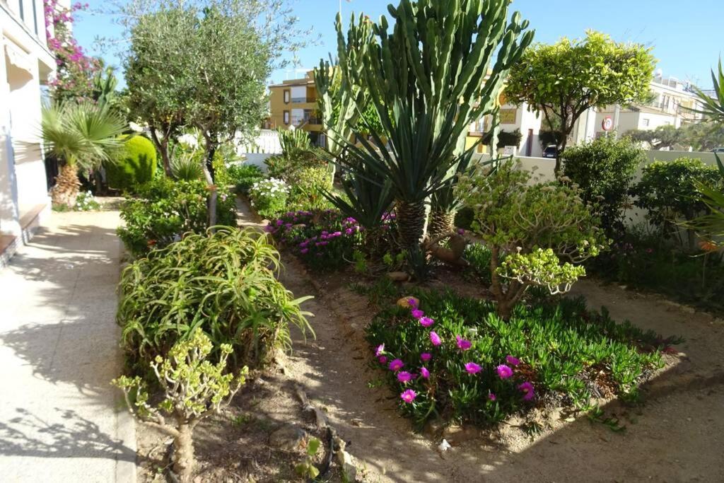 Apartamento Mar Azul - Ideal Parejas
