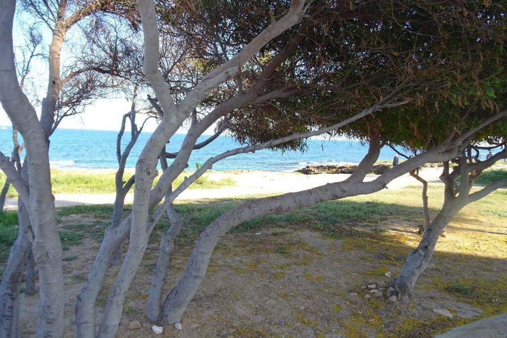 Apartamento Mar Azul - Ideal Parejas Appartement *