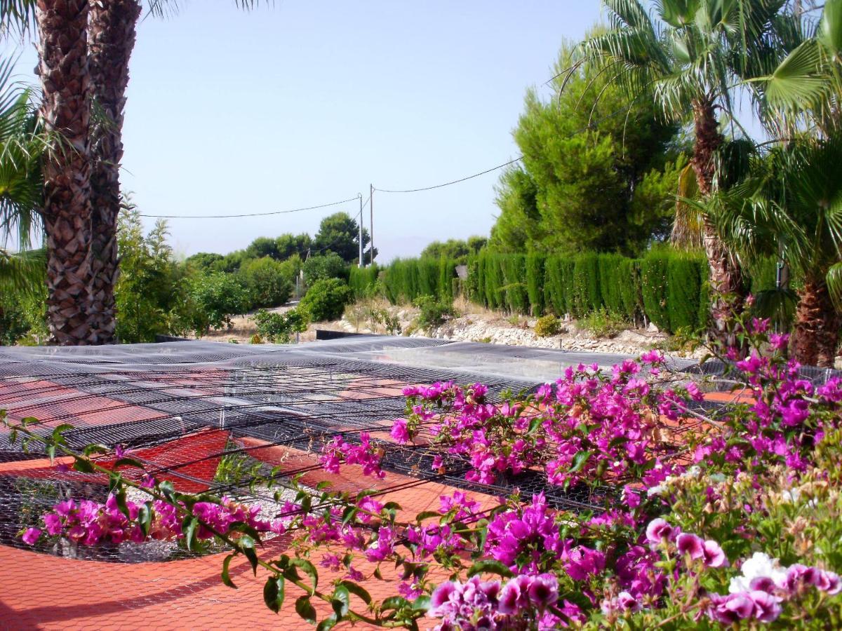 Guesthouset La Guarida