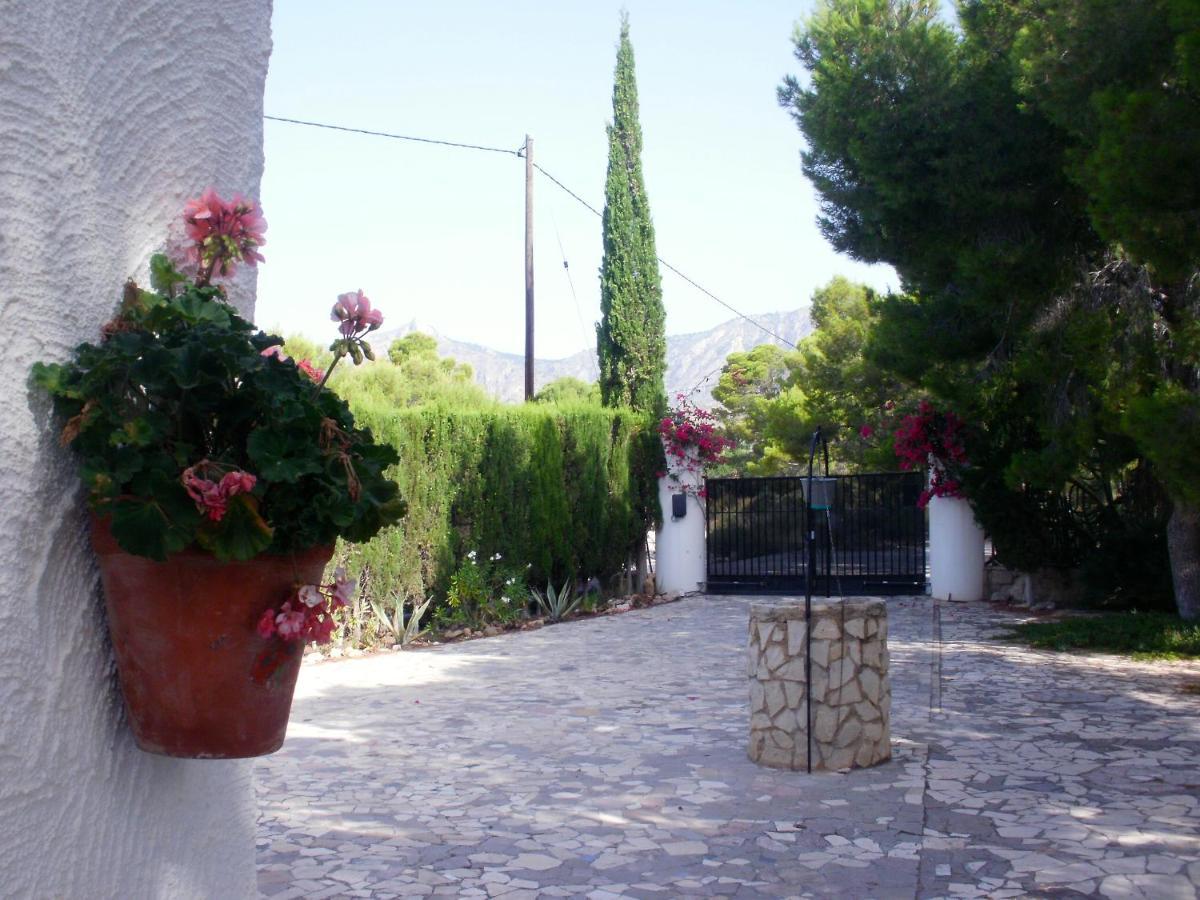 La Guarida Alicante