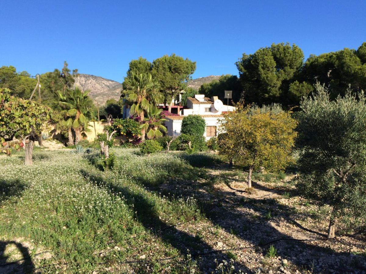 Guesthouset La Guarida