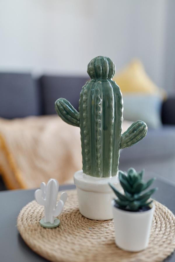 Appartement Penthouse Cactus Old Center *