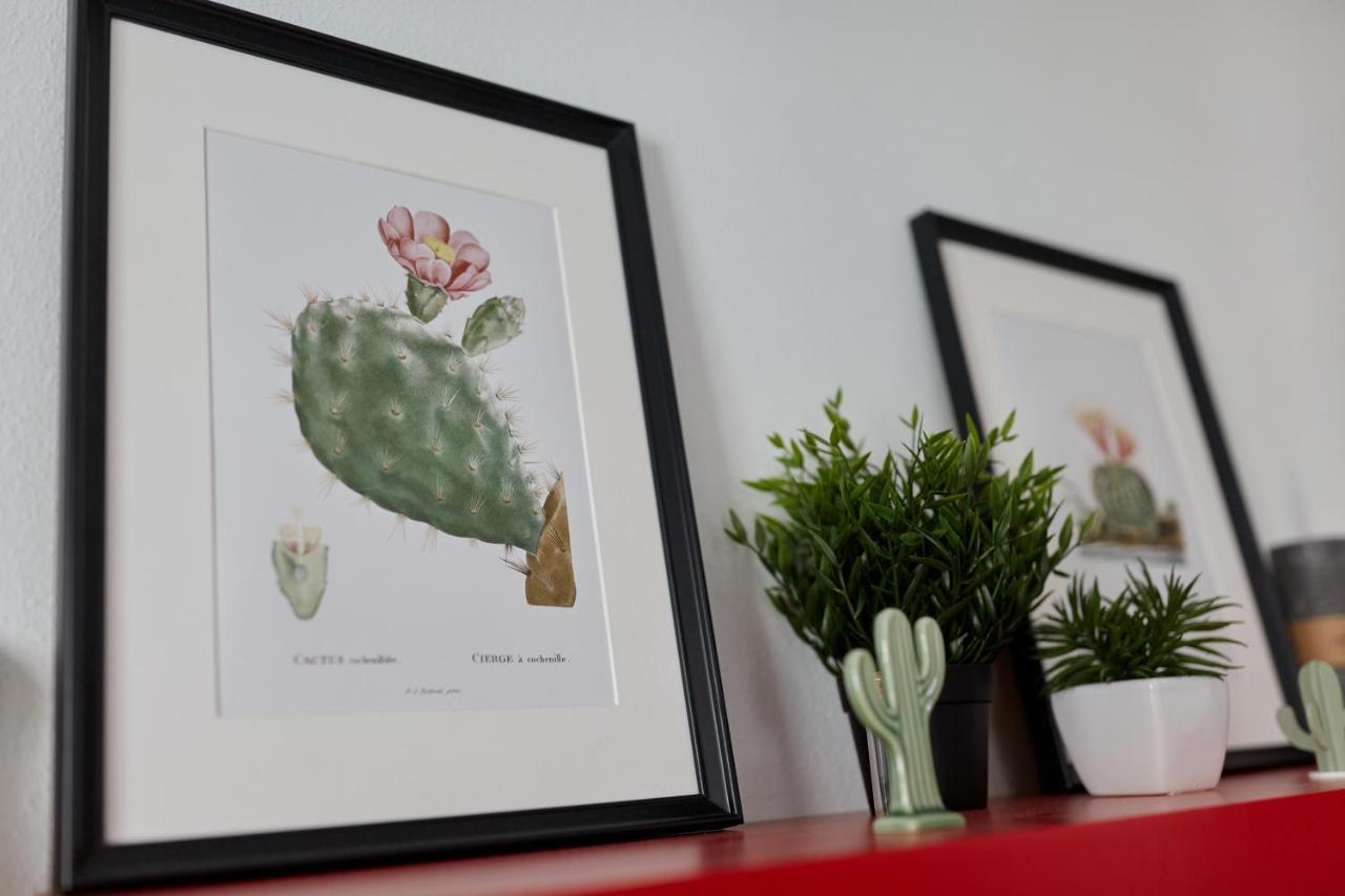 Penthouse Cactus Old Center * Alicante