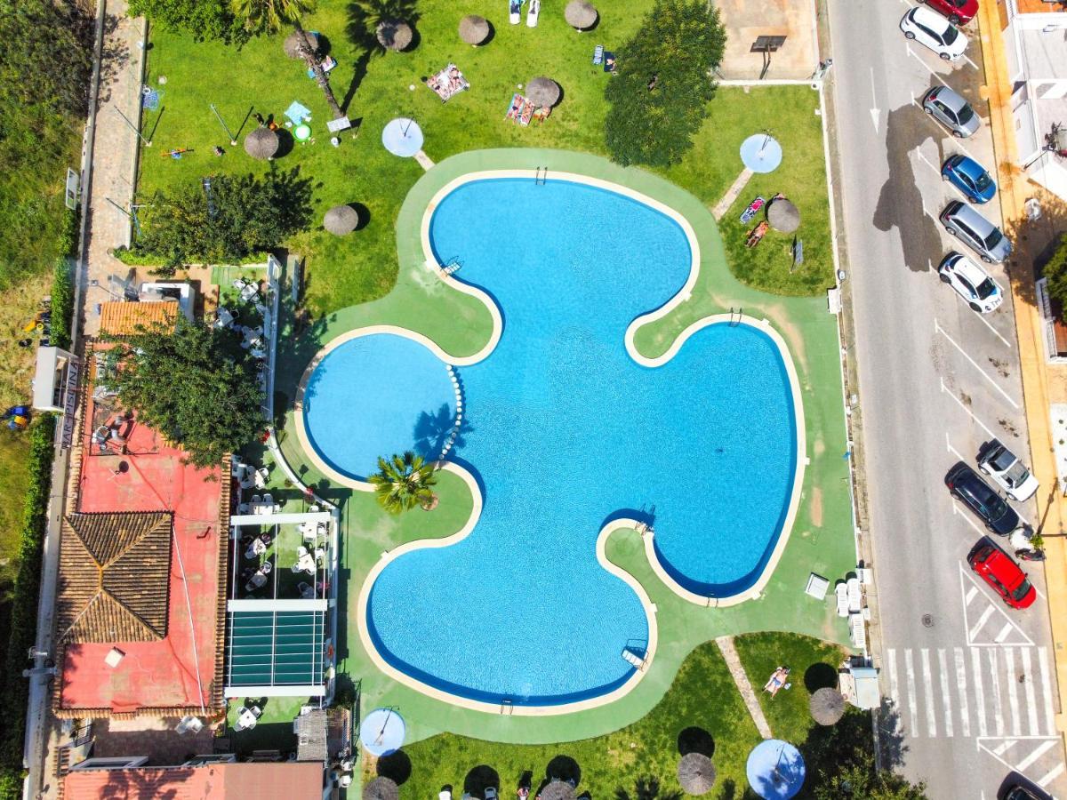 Apartamento Apartamento En Torrevieja Con Piscina Alicante