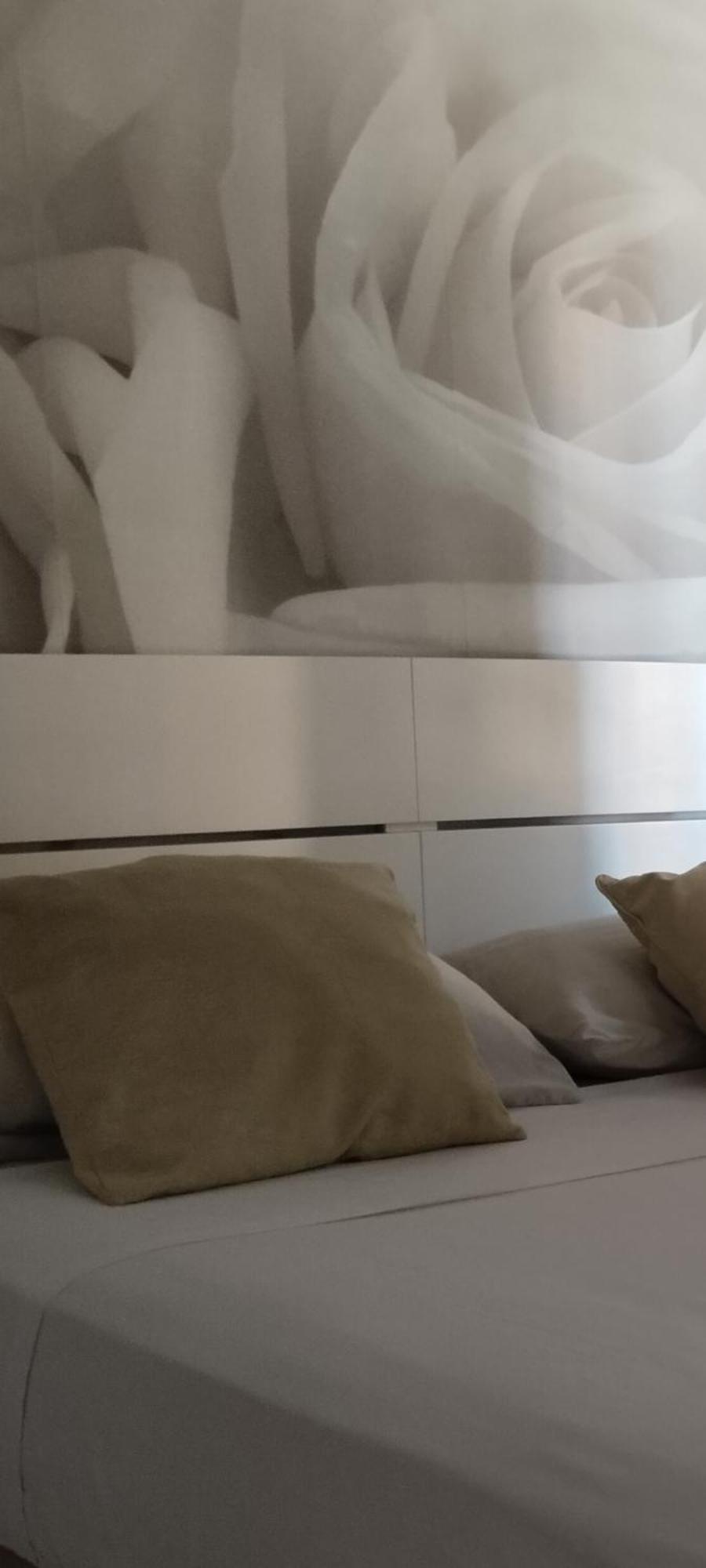 Accommodatie bij particulieren Eve ,estacion Alicante