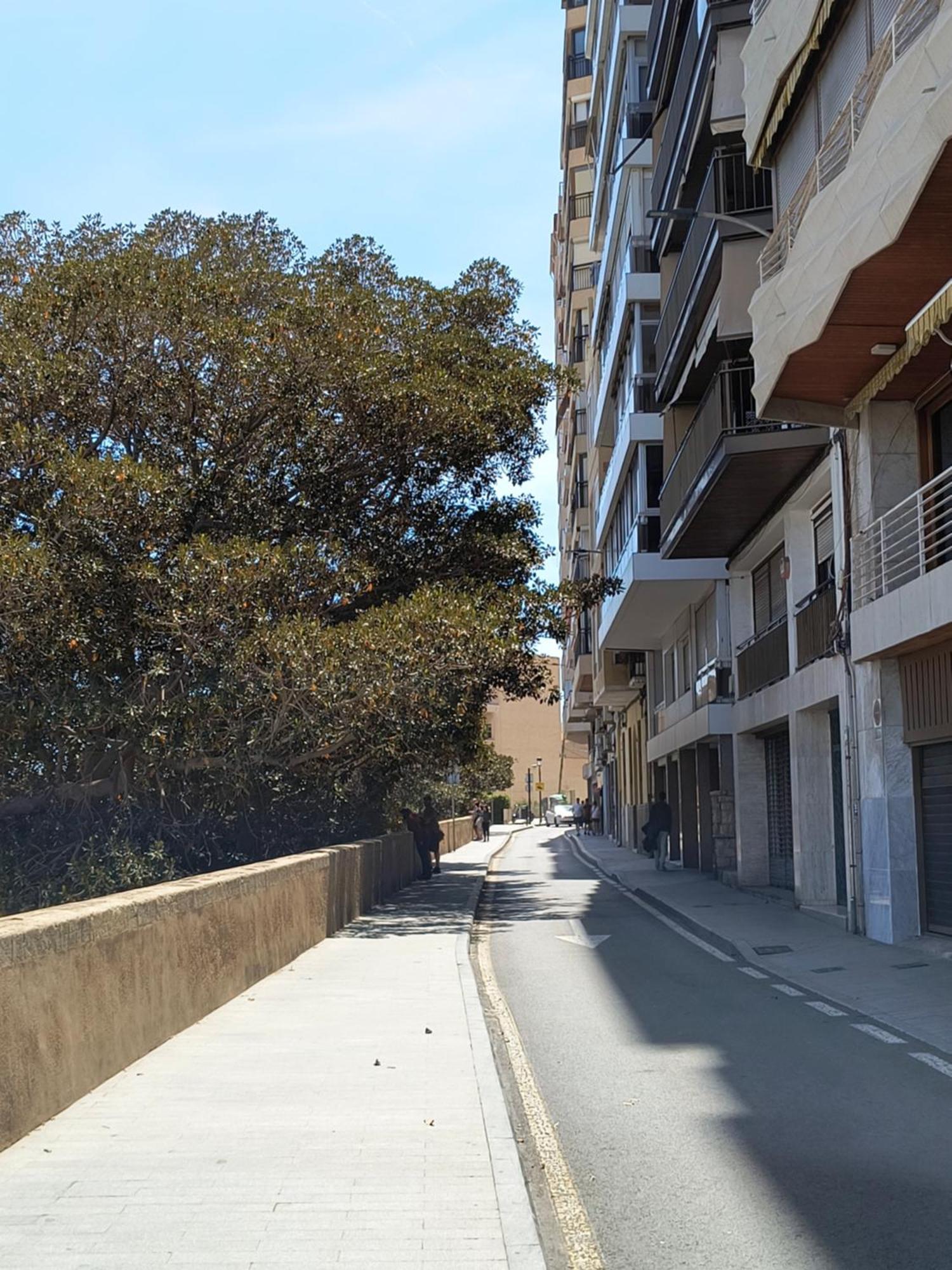 Apartment Playa Alicante