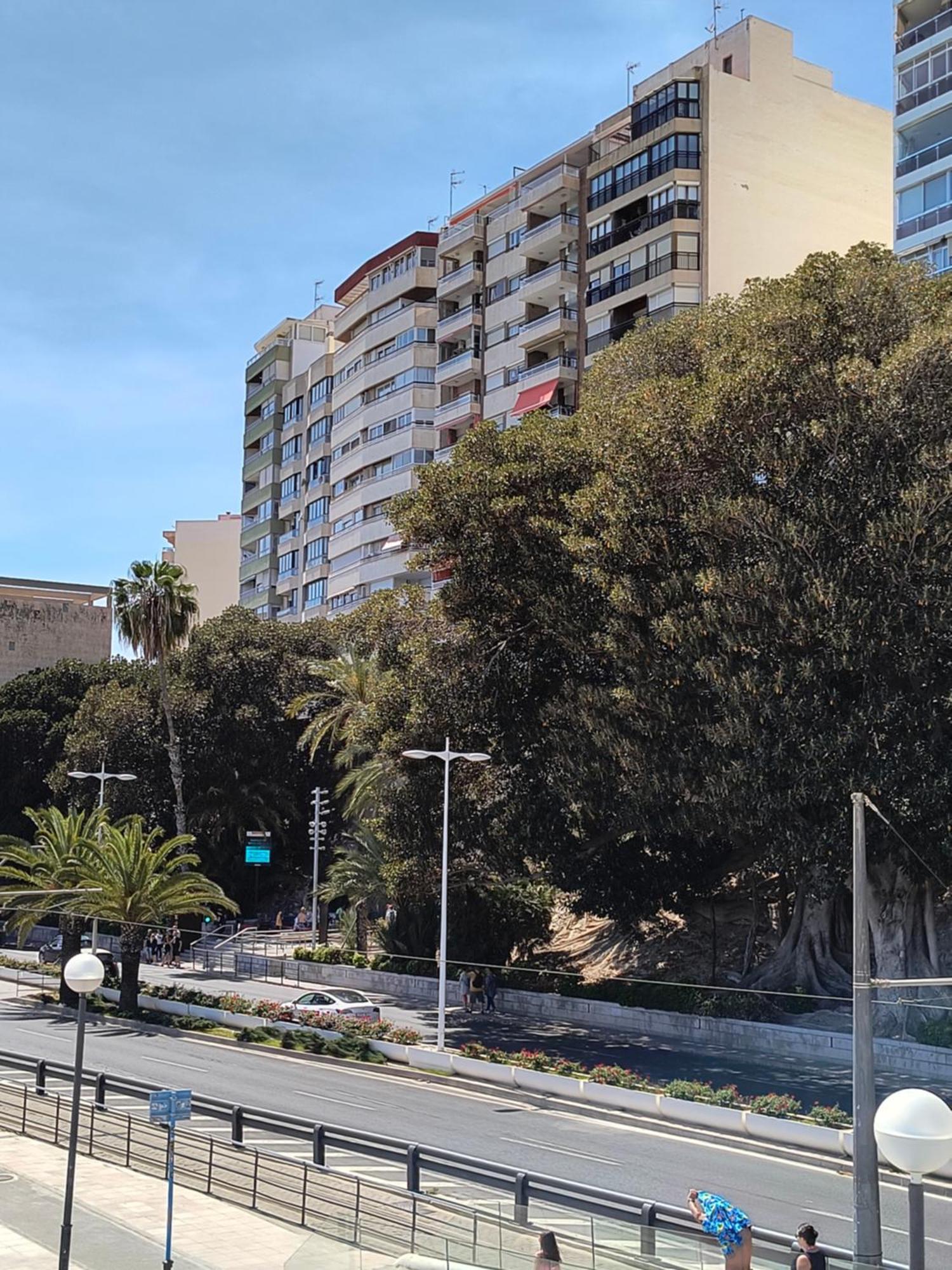 Playa * Alicante