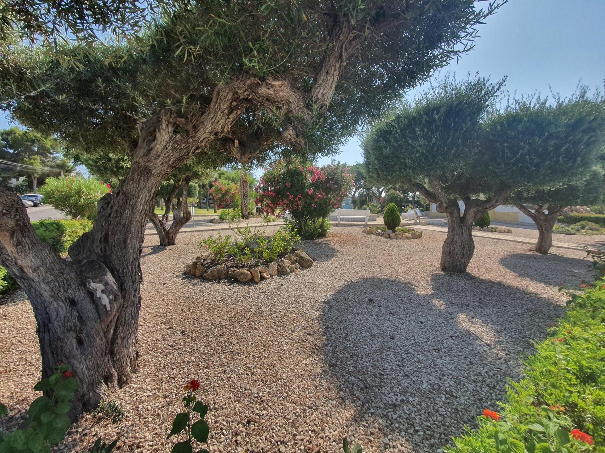 Apartamento En Torrevieja Con Piscina Apartamento