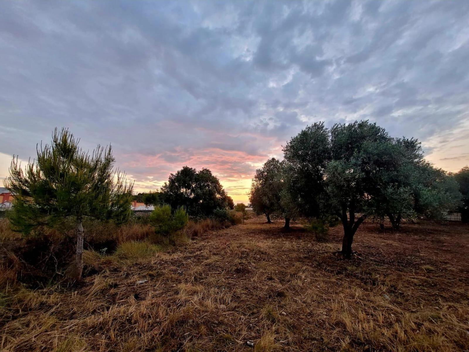 Holiday home Casitas Del Mar Alicante