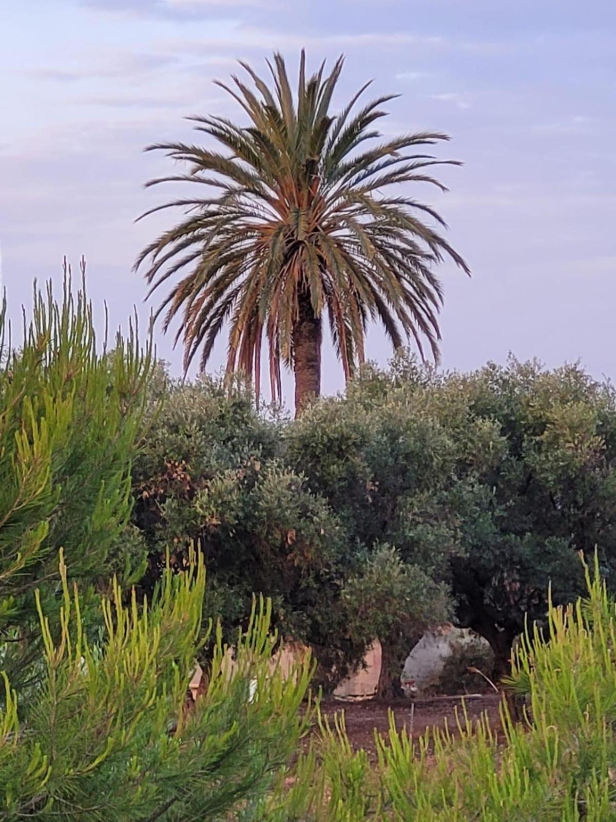 Casitas Del Mar Holiday home